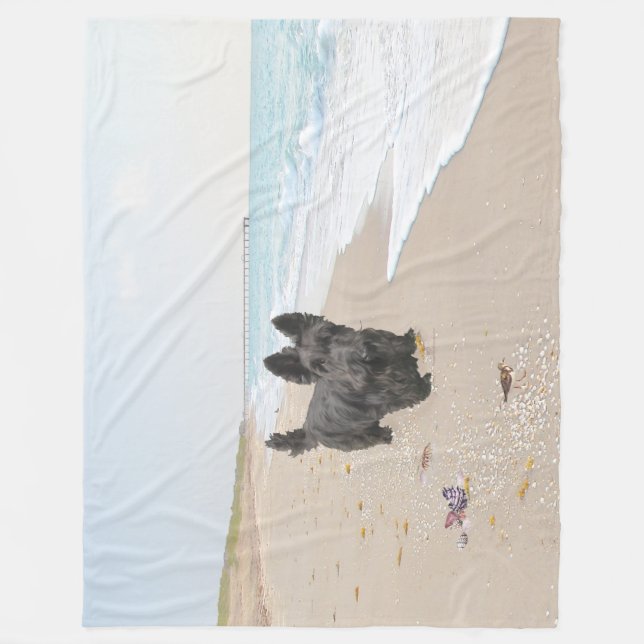 Manta Polar Día de la playa (Anverso)