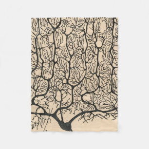 Manta Polar Dibujo De Neuronas Por Santiago Ramón Y Cajal