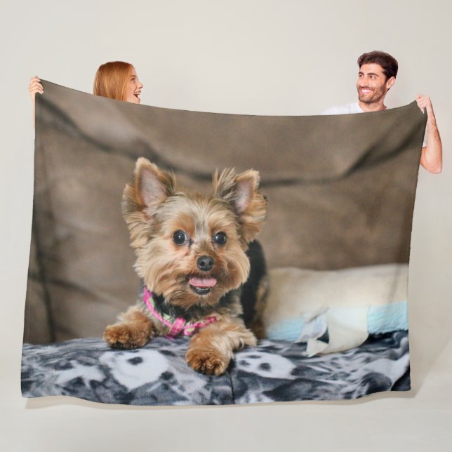 Manta Polar Dínamo pequeño (In situ)