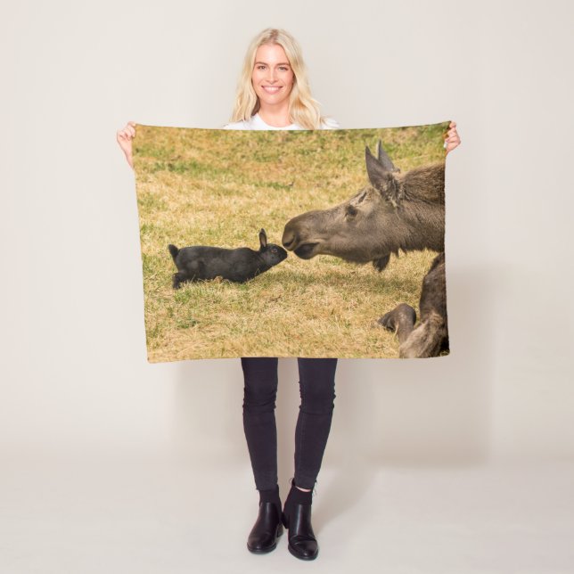 Manta Polar Diversidad (In situ)