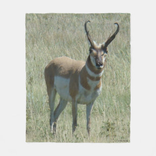 Manta Polar Dólar del antílope de A13 Pronghorn
