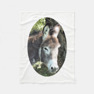 MANTA POLAR DONKEY