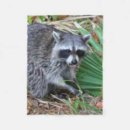 Manta Polar Don't Mind Me, Just Passing Through