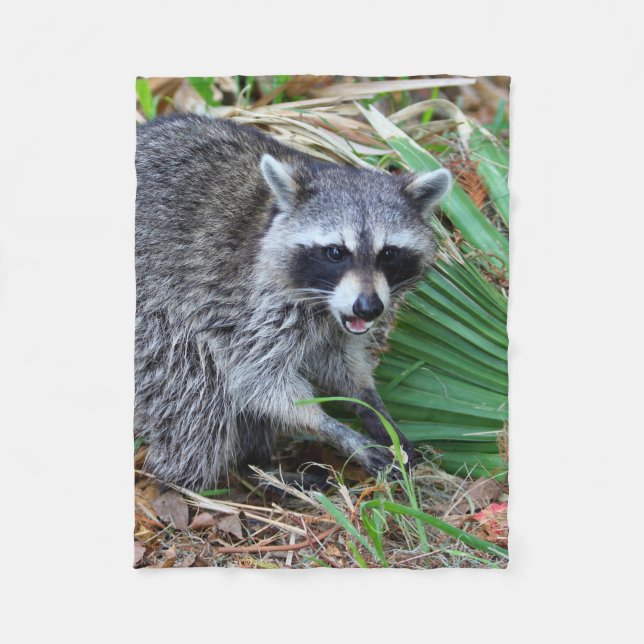 Manta Polar Don't Mind Me, Just Passing Through (Anverso)