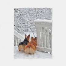 Dos Corgis en la nieve