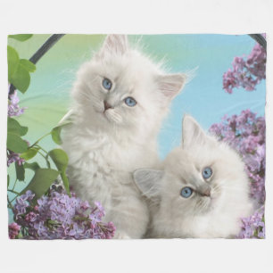 MANTA POLAR DOS KITTENS BLANCOS