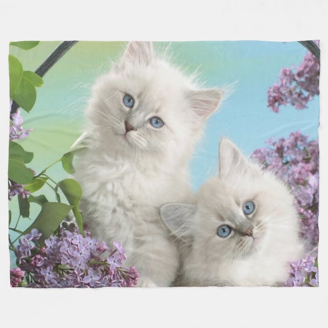 MANTA POLAR DOS KITTENS BLANCOS (Frente (Horizontal))