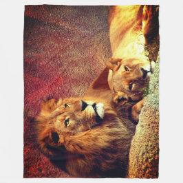 Manta Polar Dos leones