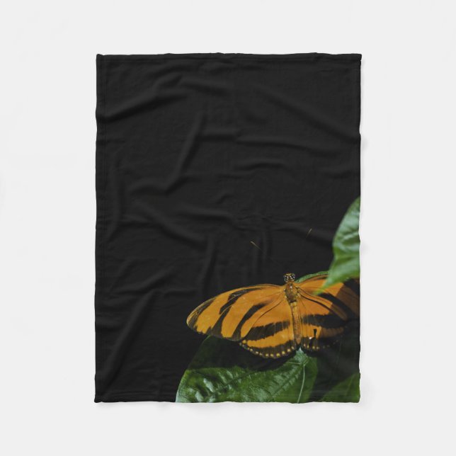 Manta Polar Dryad (Anverso)