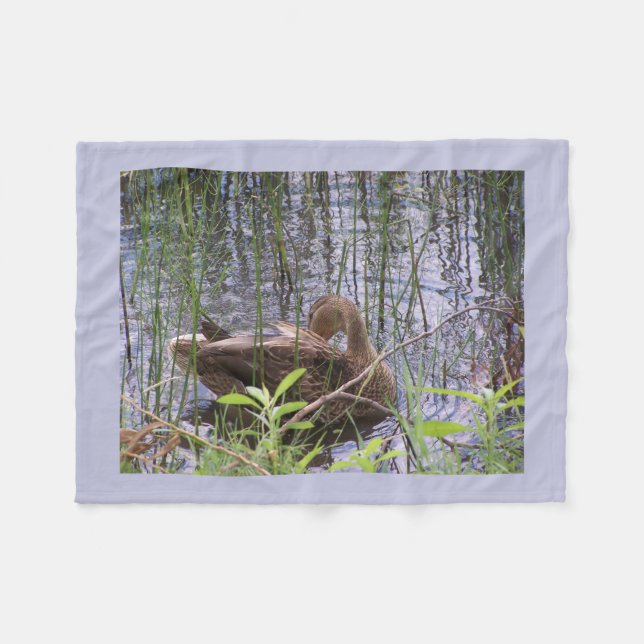 Manta Polar  Duck  preening itself among the reeds (Frente (Horizontal))