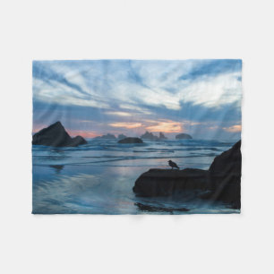Manta Polar EE. UU., Oregón, playa de Bandon. Gaviota en roca
