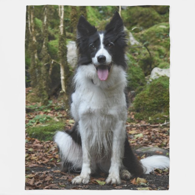 Manta Polar El BORDER COLLIE (Anverso)