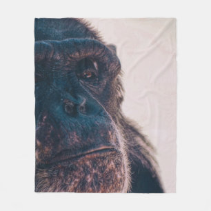 MANTA POLAR EL CHIMPANZO MÁS ANTIGUO