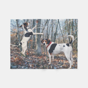 Manta Polar El Coonhound del caminante de Treeing persigue la