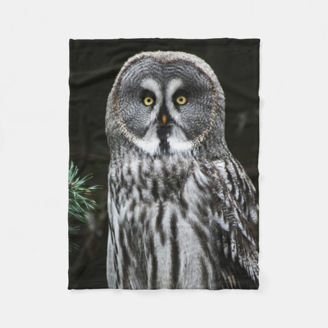 Manta Polar El gran flamante búho gris (Anverso)