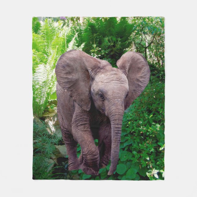 Manta Polar Elefante y selva (Anverso)