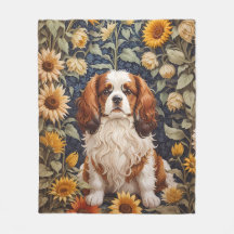Elegantes girasoles Cavalier King Charles Spaniel