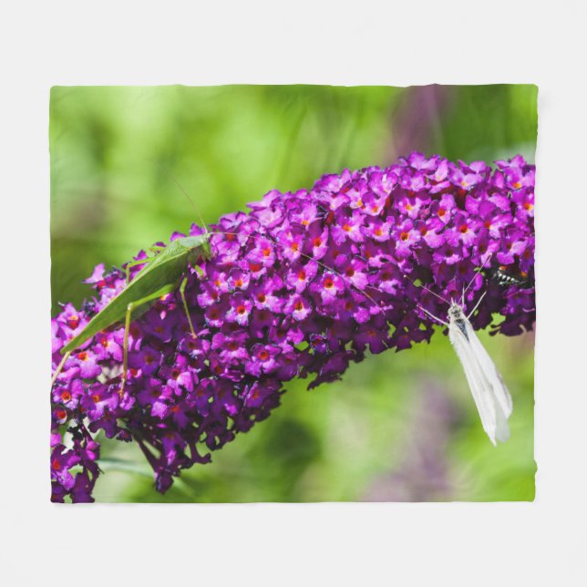 Manta Polar energía katydid (Frente (Horizontal))