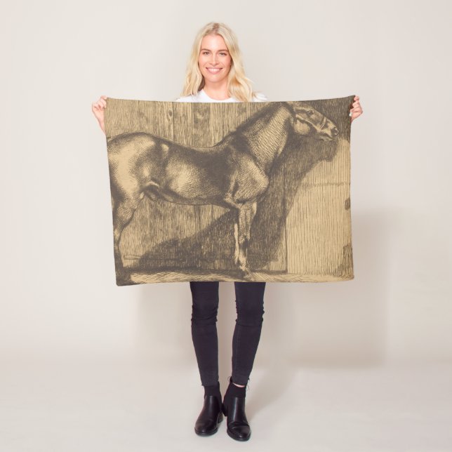 Manta Polar Esbozo de un Pony (de Paul-Albert Besnard) (In situ)