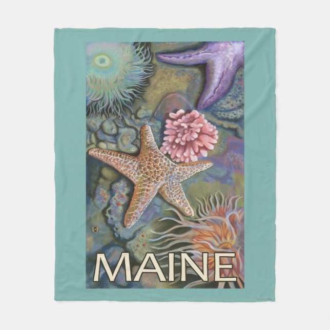 Manta Polar Escena de MaineTidepool (Anverso)