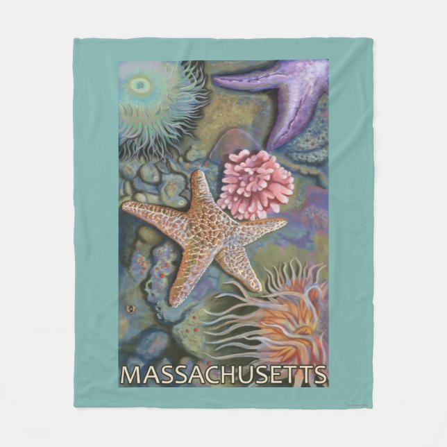 Manta Polar Escena de MassachusettsTidepool (Anverso)