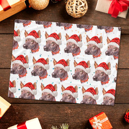 Manta Polar Estrellas de Navidad de la raza de perro sin pelo