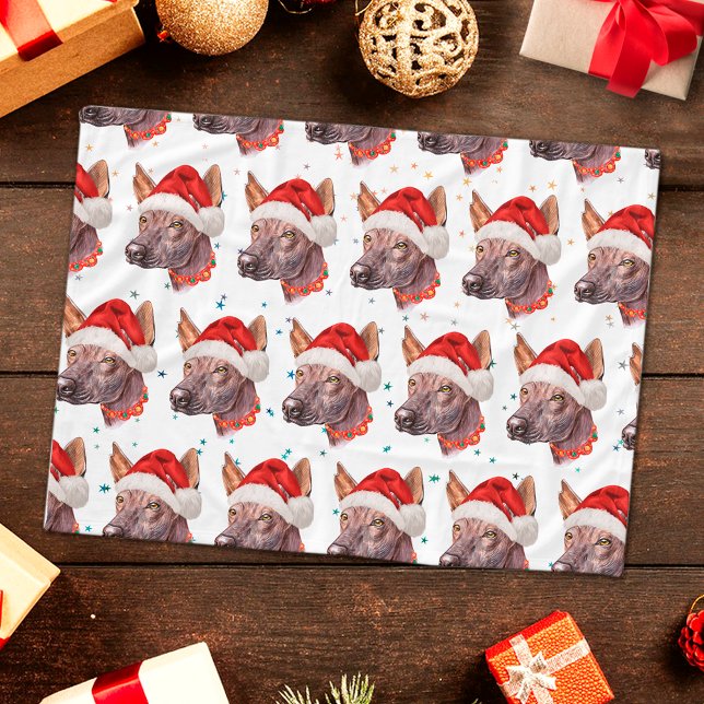 Manta Polar Estrellas de Navidad de la raza de perro sin pelo  (Subido por el creador)