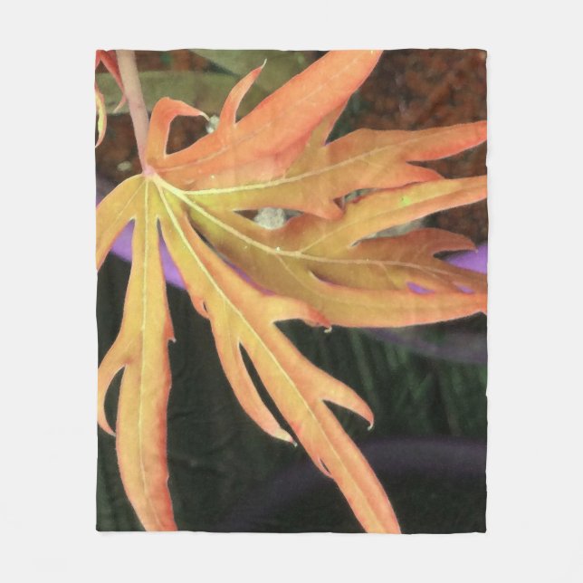 Manta Polar Estudio de la hoja 2 (Anverso)