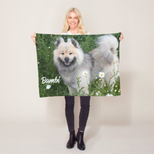 Manta Polar Eurasier Adorable Mascota Foto de perro Stallion S
