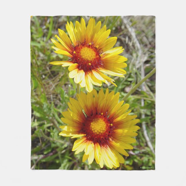 Manta Polar F8 Flores silvestres amarillas Gaillardia (Anverso)