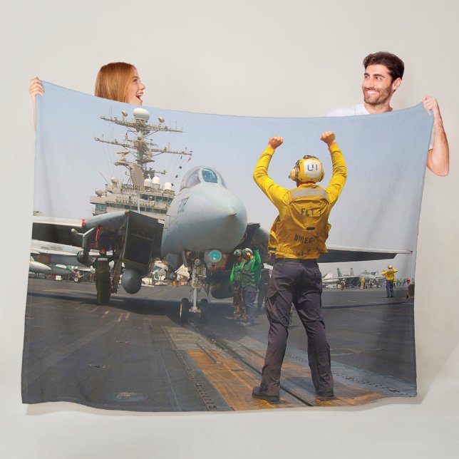MANTA POLAR F-14 TOMCAT (In situ)