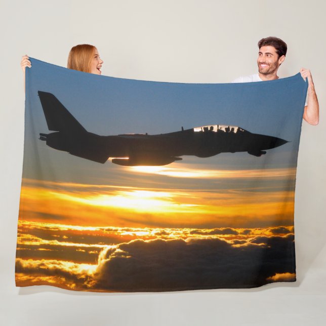 MANTA POLAR F-14 TOMCAT (In situ)