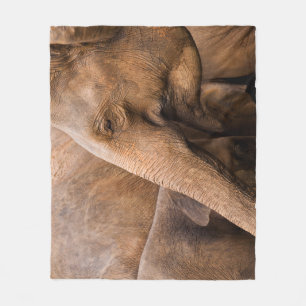 Manta Polar Familia Elefante: Vida silvestre majestuosa