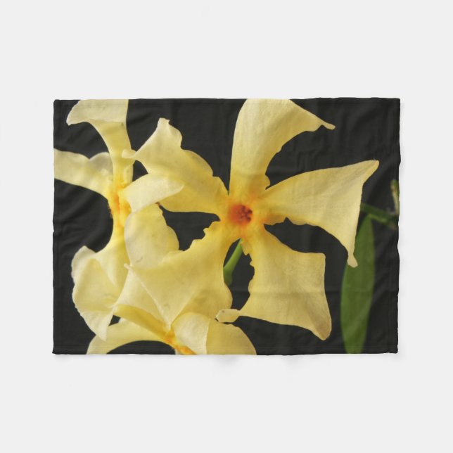 Manta Polar Fbcna de flor de Star Jasmine (Frente (Horizontal))