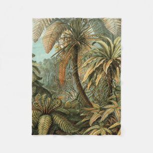 Manta Polar Ferns Palm Tree Antique Botanica Ferns Art