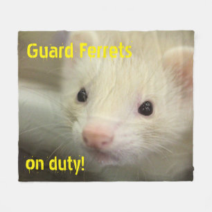 Manta Polar Ferret face