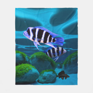 Manta Polar Fish Cichlid Plecostomus Aquarium
