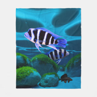 Manta Polar Fish Cichlid Plecostomus Aquarium