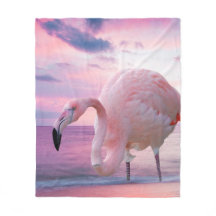 Flamenco y cielo rosado