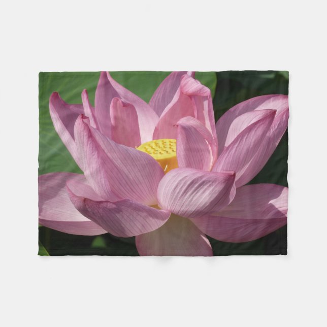 Manta Polar Flor rosa Lotus IV (Frente (Horizontal))
