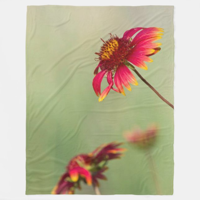 Manta Polar Flores de cono que comienzan a florecer (Anverso)