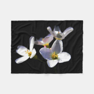Manta Polar Flores de pratensis cardamina fbcn