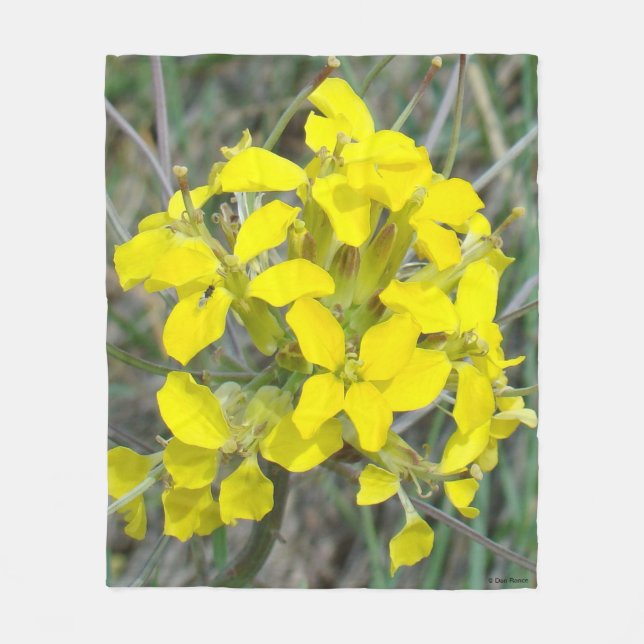 Manta Polar Flores silvestres amarillas F14 (Anverso)