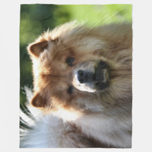 Manta Polar Fluffy