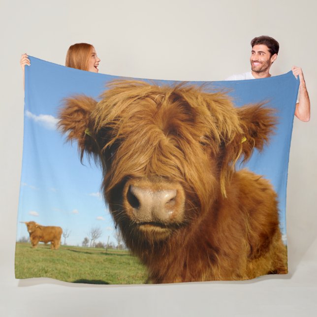 Manta Polar Fluffy Scottish Highland Cow - Blue Sky (In situ)