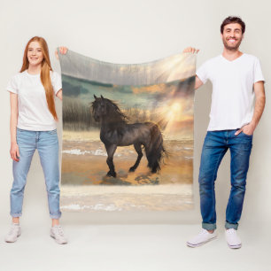 Manta Polar Foggy Friesian Morning