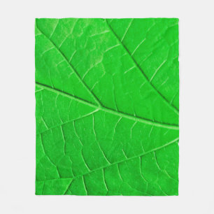 Manta Polar Fondo de la planta de ecología de hoja verde macro