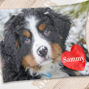 Manta Polar Foto de Mascota de Moda moderna Personalizada Perr