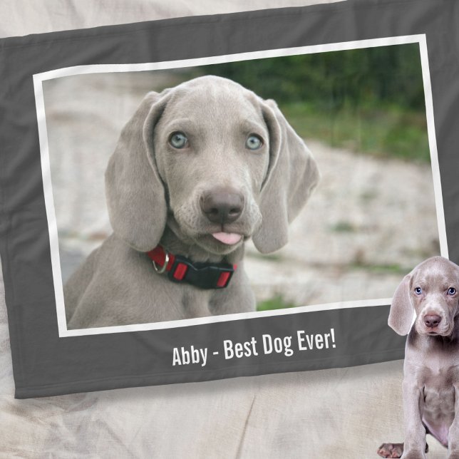 Manta Polar Foto de perro y nombre de perro de Weimaraner pers (Subido por el creador)
