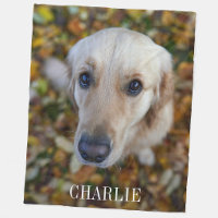 Foto personalizada de perro